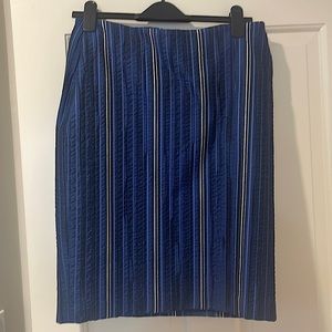 Size 10 blue/navy skirt. Rebecca Rojas